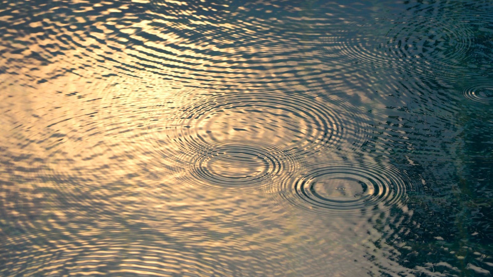 ripple effect ripple effect