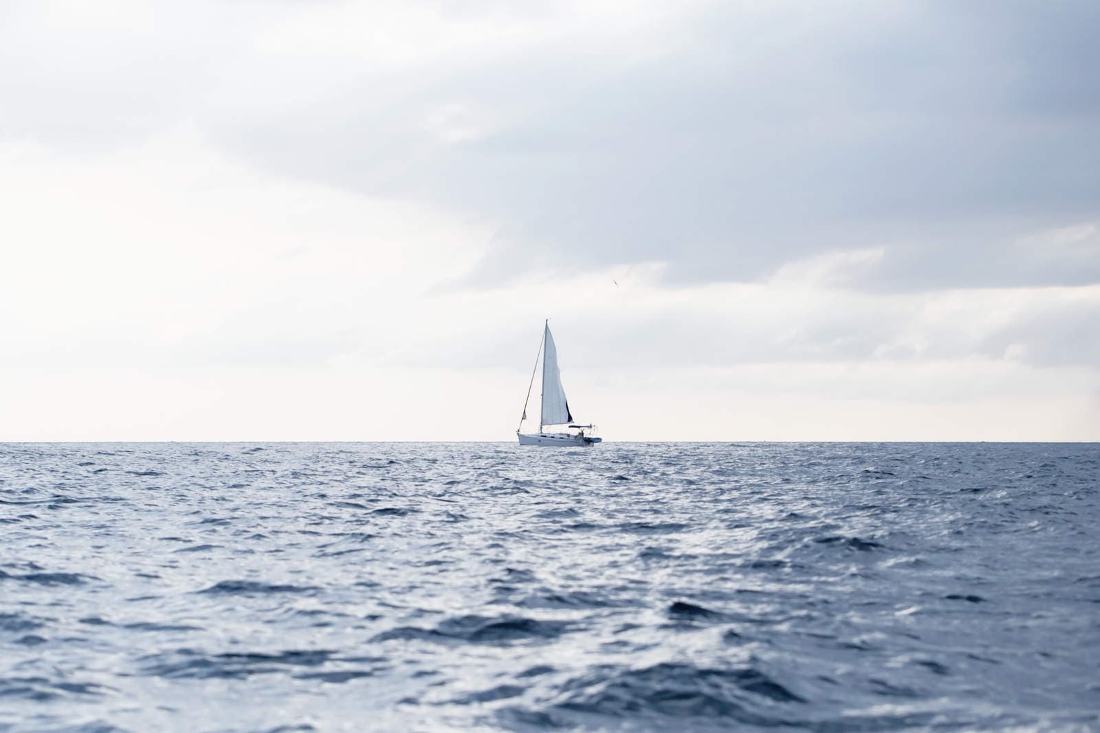 open sea open sea
