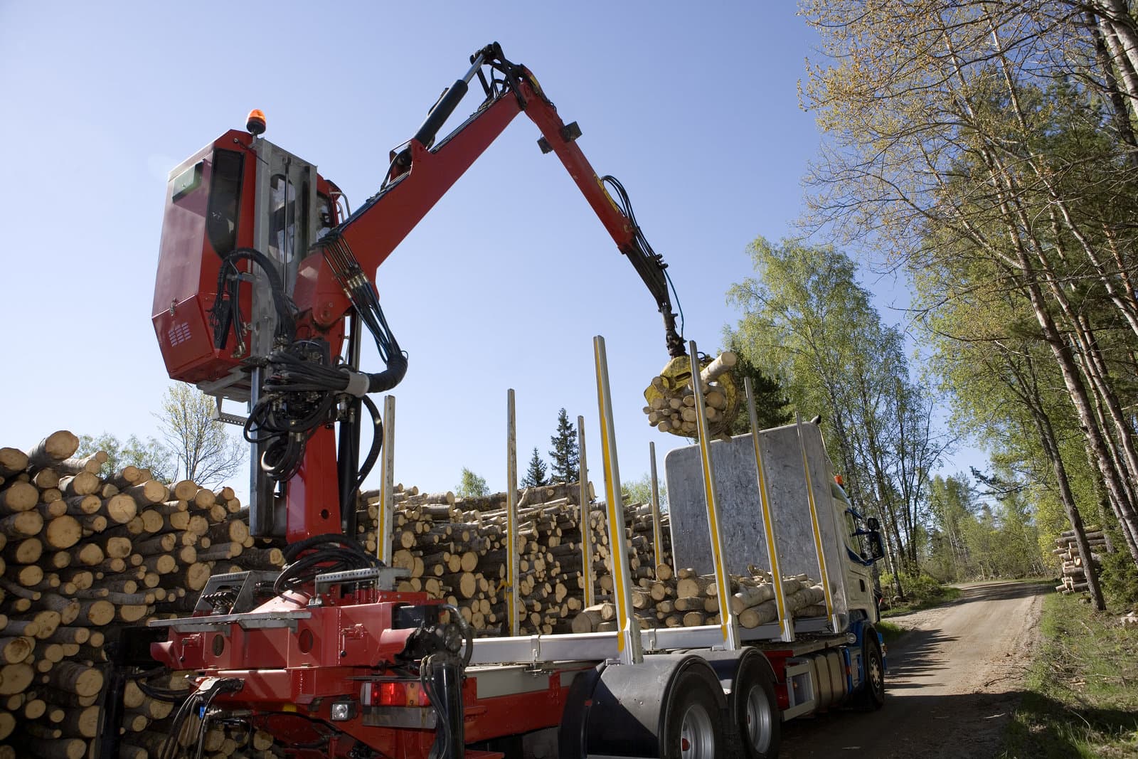 loading timber loading timber